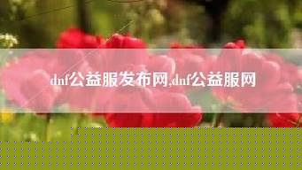 公益服网(公益服网站游戏) (2)