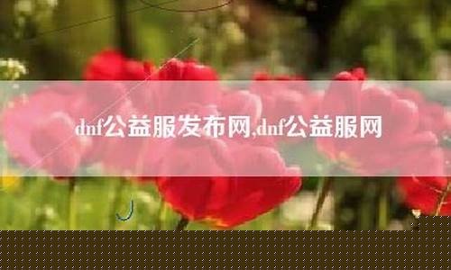 dnf私发网：公益服网(公益服网游大全)